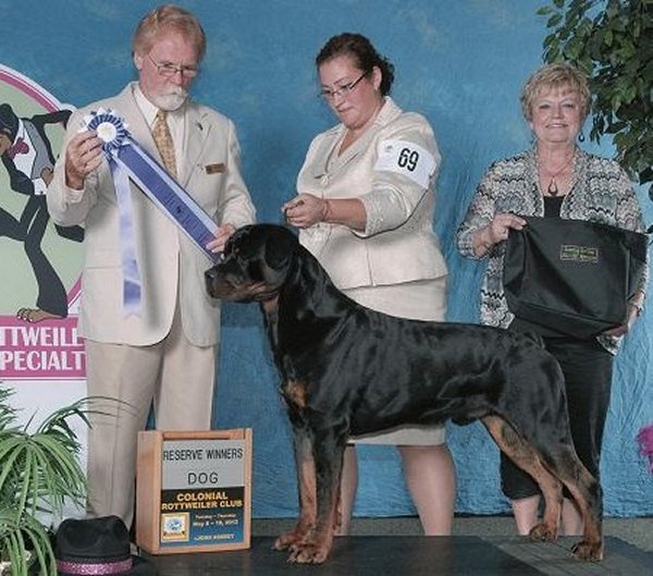 Brandy Hills Rockin Rottweilers Rottweiler Breeders located in