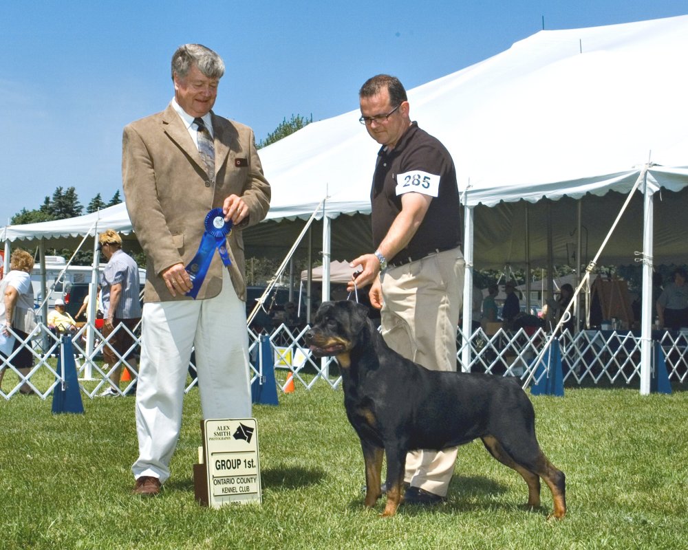 Brandy Hills Rockin Rottweilers Rottweiler Breeders located in