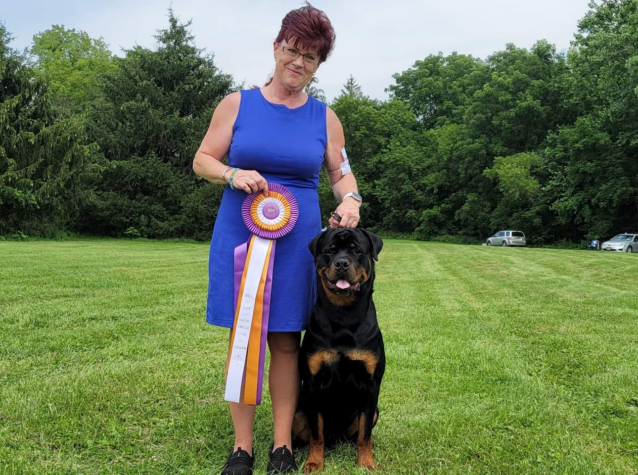 Brandy Hills Rockin Rottweilers Rottweiler Breeders located in