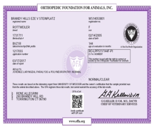 EZE - Clear/Normal for JLPP Eze