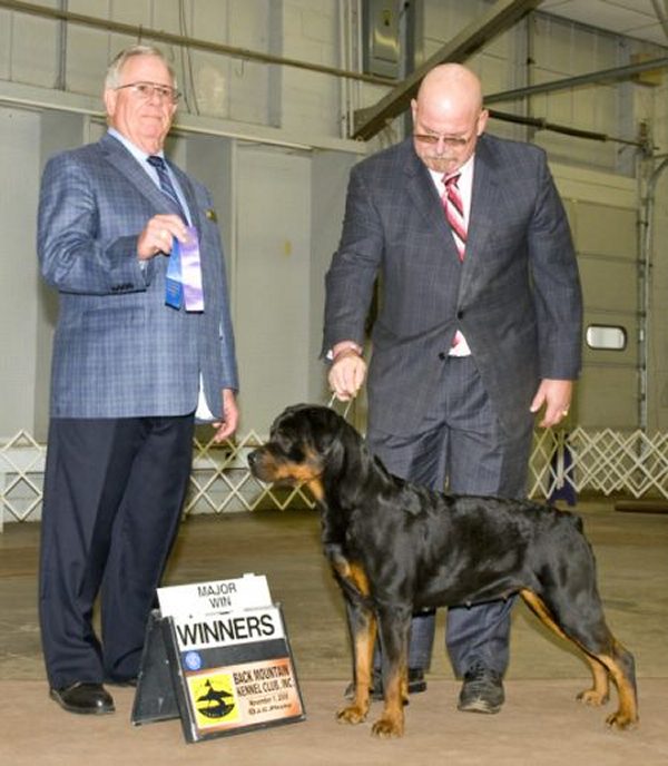 Brandy Hills Rockin Rottweilers Rottweiler Breeders located in