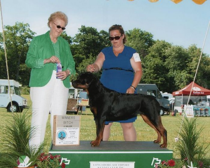 Brandy Hills Rockin Rottweilers Rottweiler Breeders located in