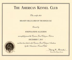 Miyagi CGC Certificate