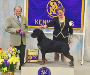 Miyagi WD South Windsor Kennel Club