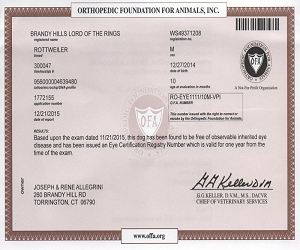 Miyagi - CERF Certificate
